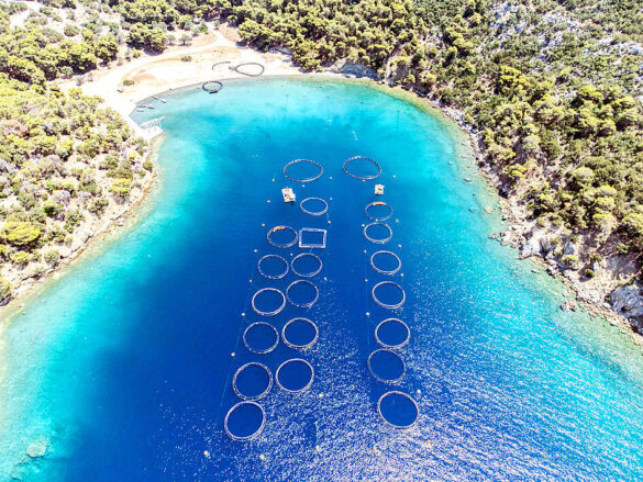 P05-250603-310 Svg%3E