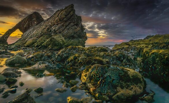 pexels-photo-1493885 Svg%3E