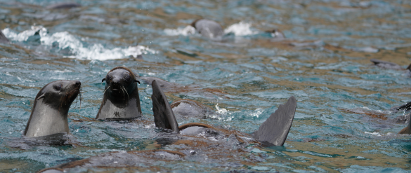 featured-image-1920-x-810-px28 Svg%3E