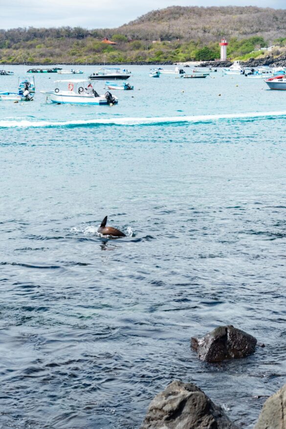 pexels-diego-f-parra-33199-18761745 Svg%3E