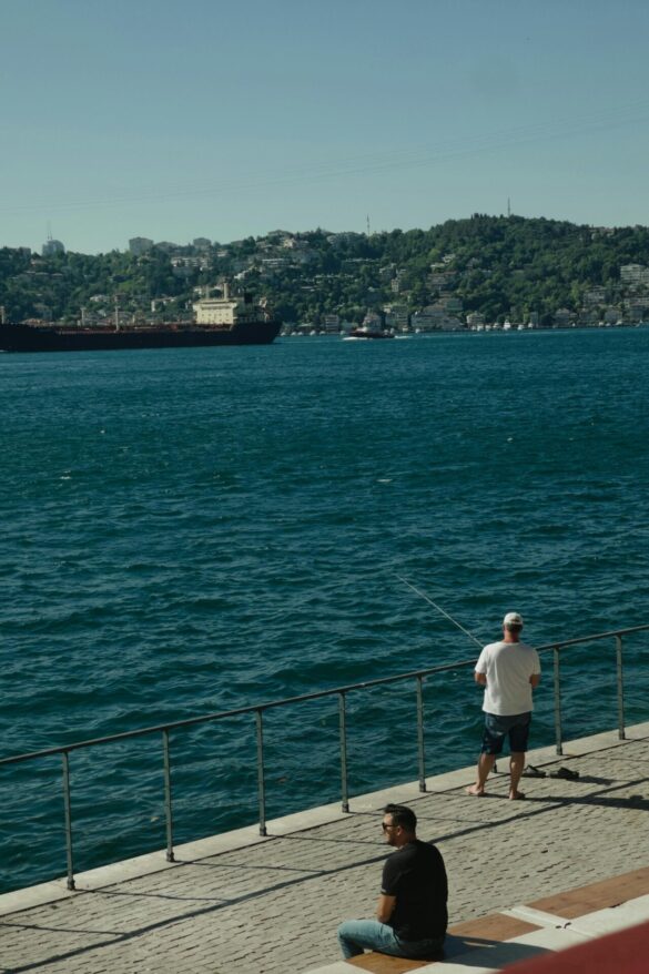 pexels-meraloral21-32879086 Svg%3E