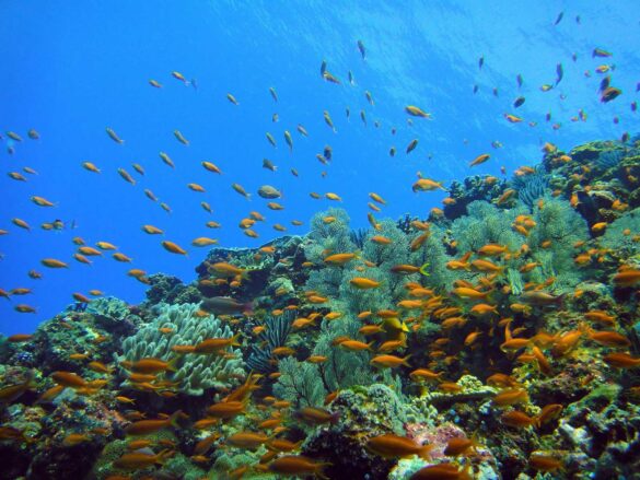 2025_08_04_9065feeb097144259d53a5431a439360 Svg%3E