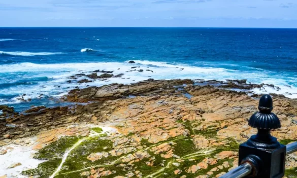 gerhard-venter-sNO1nbHHHCM-unsplash-719×431 Svg%3E