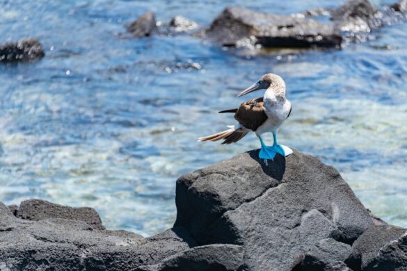 pexels-diego-f-parra-33199-18761377 Svg%3E