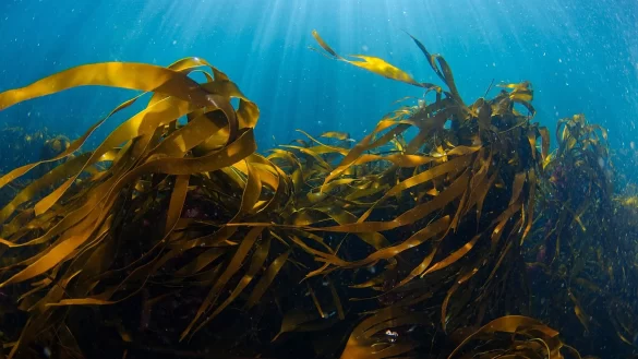 1920x1080_cmsv2_cdd66843-3133-58b6-b43b-064d02ee28ba-9321201 Svg%3E