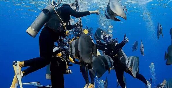 2025_05_21_836b360a8b8440d4ad4d79acfad08940 Svg%3E