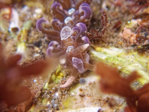 68c9949d0eb4e Svg%3E