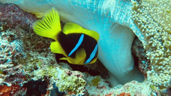 Untitled-design-37 Svg%3E