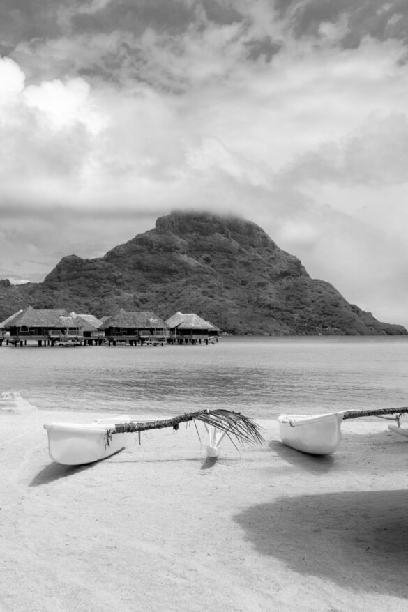 pexels-adriendrj-34095844 Svg%3E