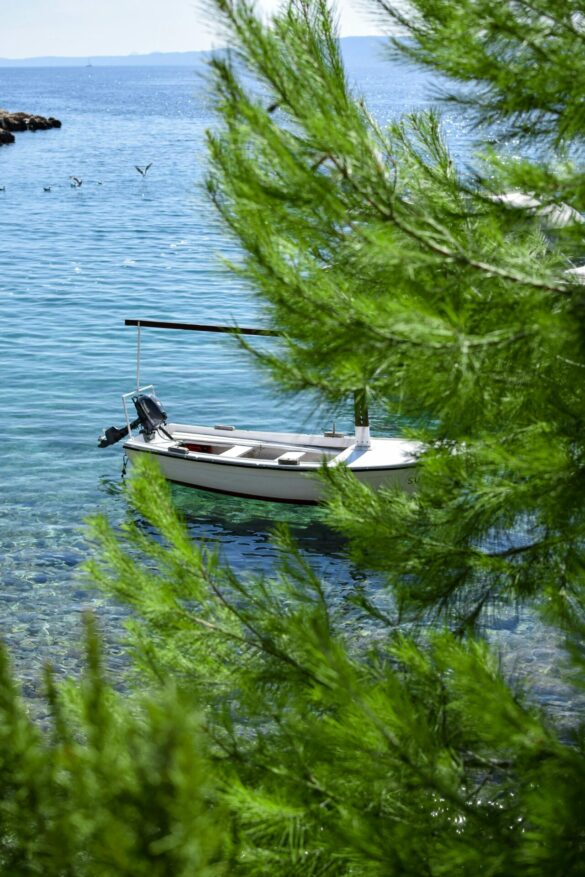 pexels-alesmiphoto-33787847 Svg%3E