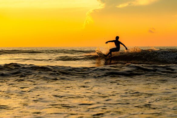 pexels-arman-alcordo-jr-52026507-33689812 Svg%3E