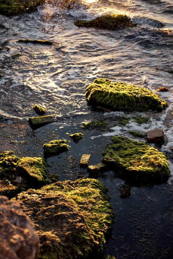 pexels-eyupcan-timur-424989336-34006927 Svg%3E