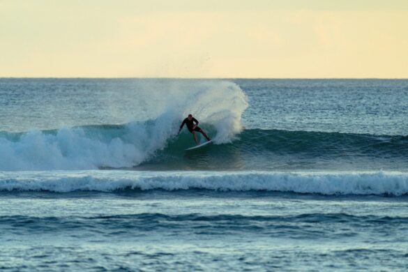 pexels-kammeran-gonzalez-keola-3137381-32853357 Svg%3E