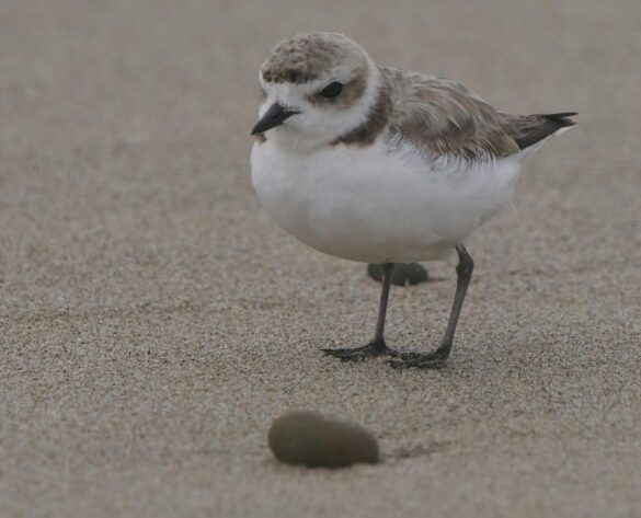 pexels-richard-block-329101850-33945792 Svg%3E