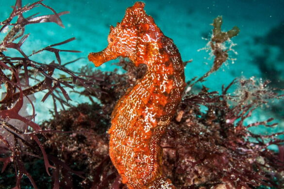 956a2301-c69d-4415-a77b-92028c55f345-1200×800 Svg%3E