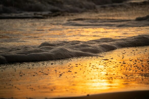 pexels-diego-giron-464799823-34325496 Svg%3E