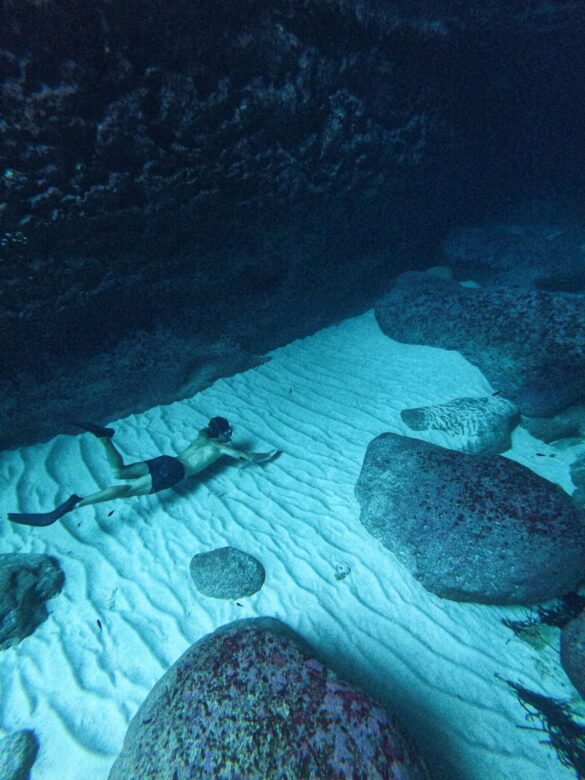 pexels-jordi-mb-234110829-15048060 Svg%3E