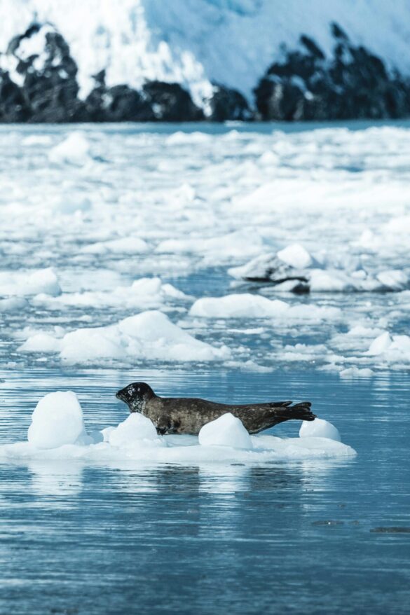 pexels-tomas-malik-793526-24778637 Svg%3E