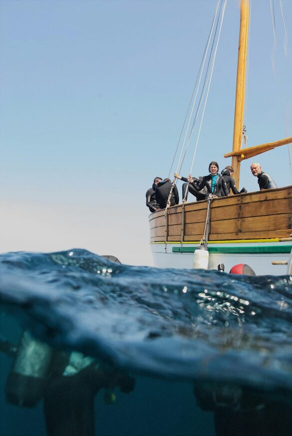 pexels-toulouse-3098935 Svg%3E