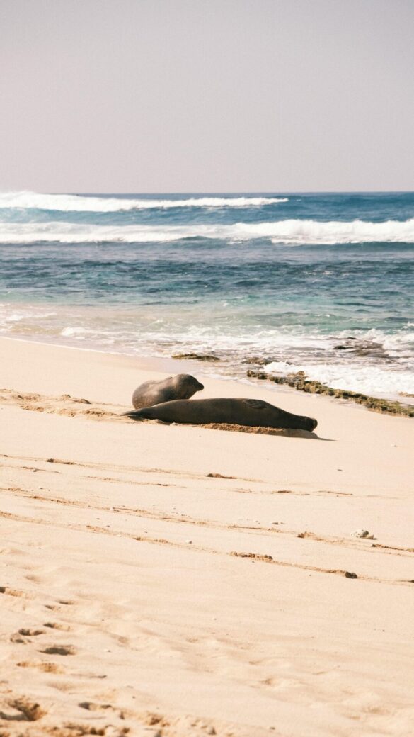 pexels-daniel-flores-2150208368-31494086 Svg%3E