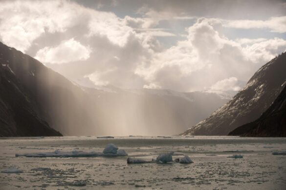 pexels-fernando-b-m-3624021-12847675 Svg%3E