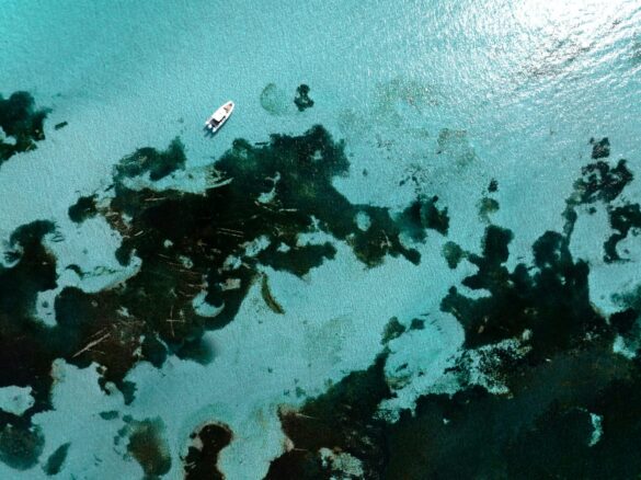 pexels-mads-de-silva-275585403-13581883 Svg%3E