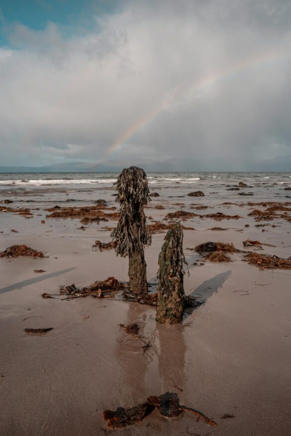 pexels-raulling-34645159 Svg%3E