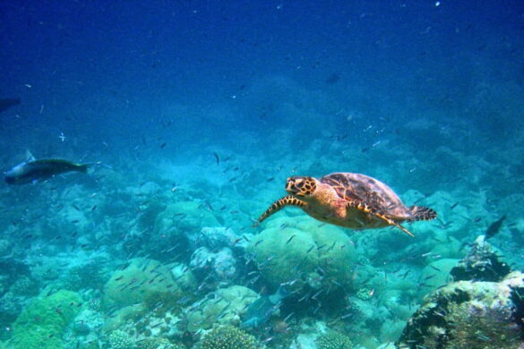 0ff4644c-add9-4963-86bc-c054e218bd18-1200×800 Svg%3E