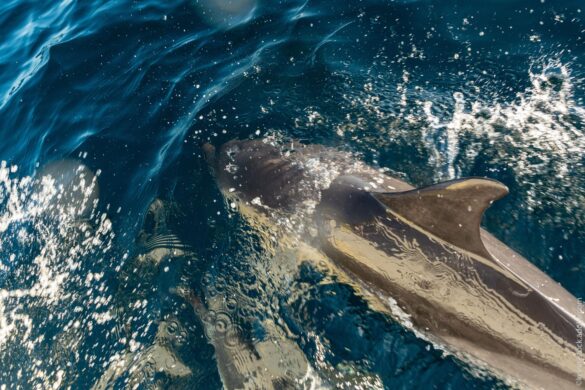 AdobeStock_464859452 Svg%3E