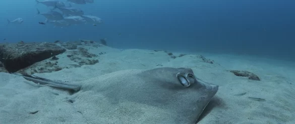 pascal-van-de-vendel-7q5r9wcexqk-unsplash.jpg Svg%3E