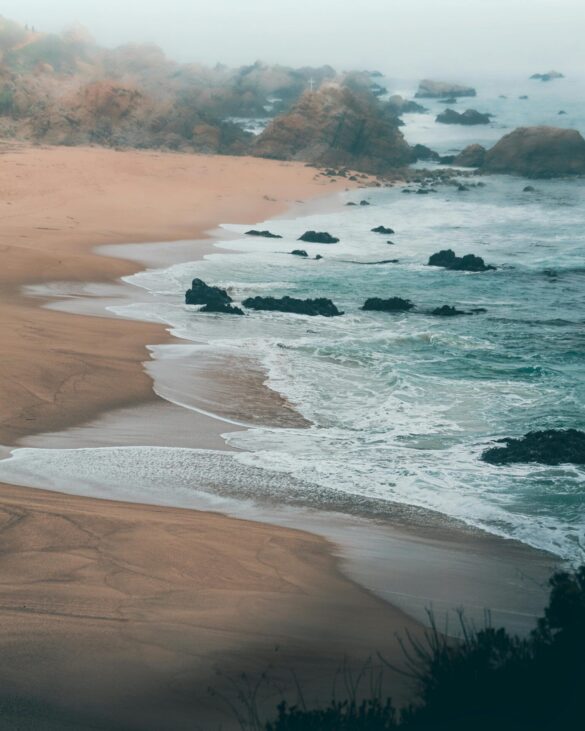 pexels-mauroignaciotorres-9297154 Svg%3E