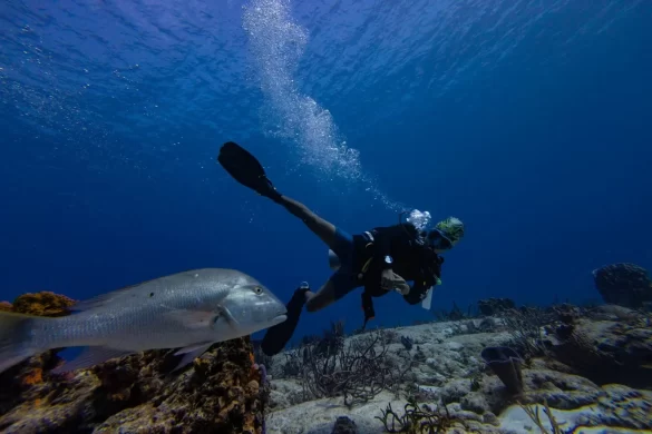 7VK2QORNEZK7TOBGMKHOGO4TJE Svg%3E