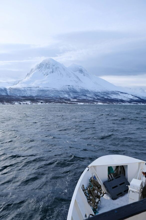 pexels-ayco-world-108848112-35635999 Svg%3E