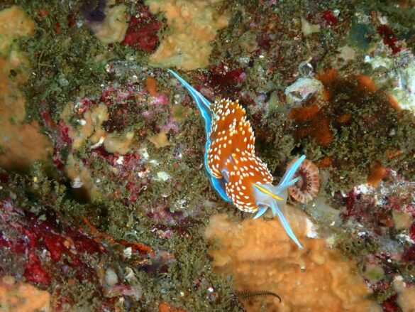 pexels-chris-spain-1559126760-27257278 Svg%3E