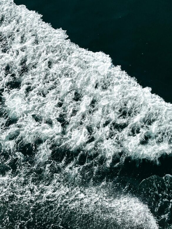 pexels-issam-galili-43717392-16510496 Svg%3E