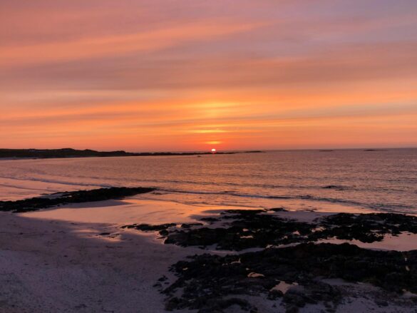 pexels-peter-bain-3188365-5171183 Svg%3E