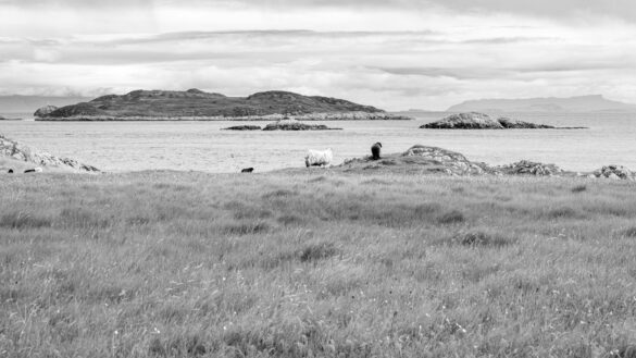 pexels-philevenphotos-33889299 Svg%3E