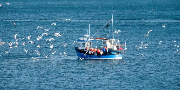Fishing,Boat,At,Sea,With,Lots,Of,Seagulls Svg%3E