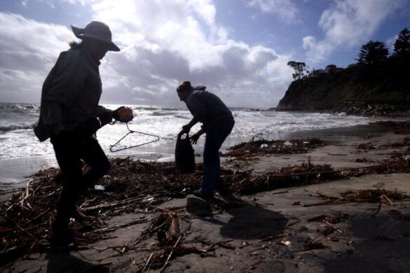 4a641aedd6196efcdbd84bd86977f0da Svg%3E