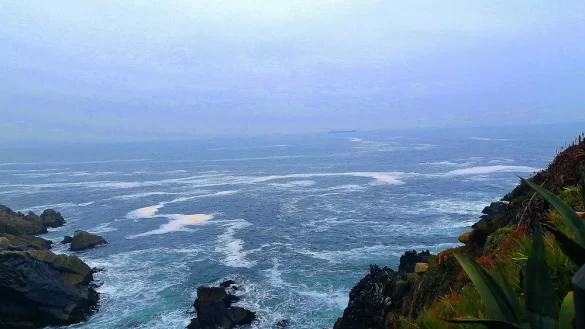 6s3pw0h8zmk3h3wdbsp4kd6qtgugunnx Svg%3E