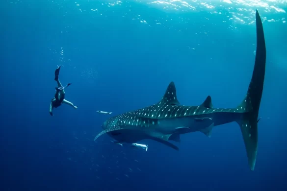 Volunteer-takes-a-Photo-ID-in-Madagascar Svg%3E