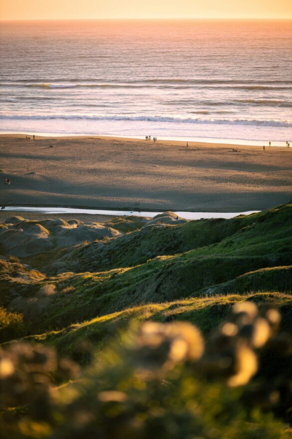 pexels-coralestudiochile-8811475 Svg%3E