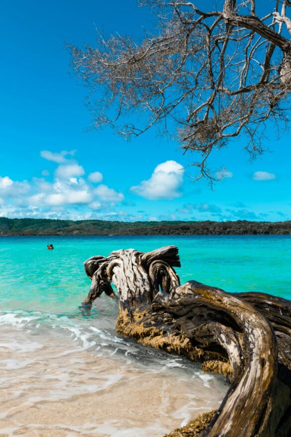 pexels-hiurich-13448911 Svg%3E