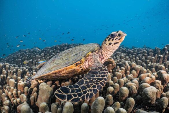 86b9c80cae5243ee6debaf5f6664c771 Svg%3E