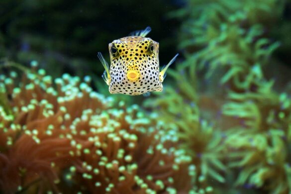 pexels-andromeda99-36733620 Svg%3E