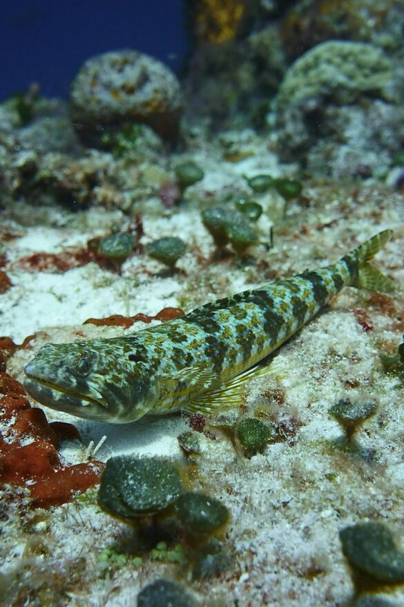 pexels-diego-sandoval-3158170-4766817 Svg%3E