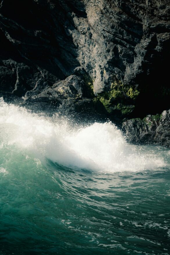 pexels-griffinw-34480318 Svg%3E