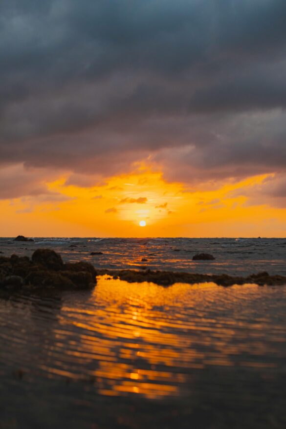 pexels-ian-panelo-20600841 Svg%3E