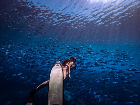 pexels-kathy-alison-2160685187-36913903 Svg%3E