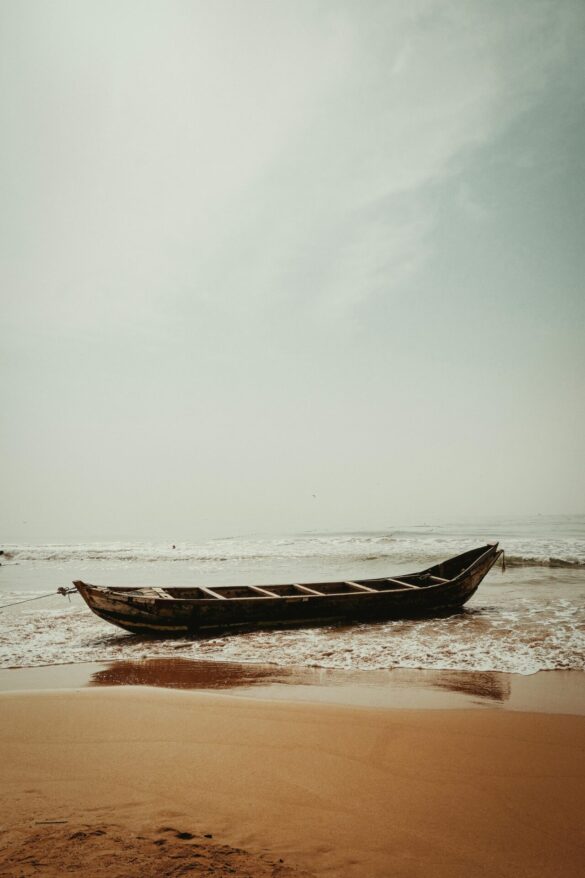 pexels-ona-freeseed-434353863-15416283 Svg%3E